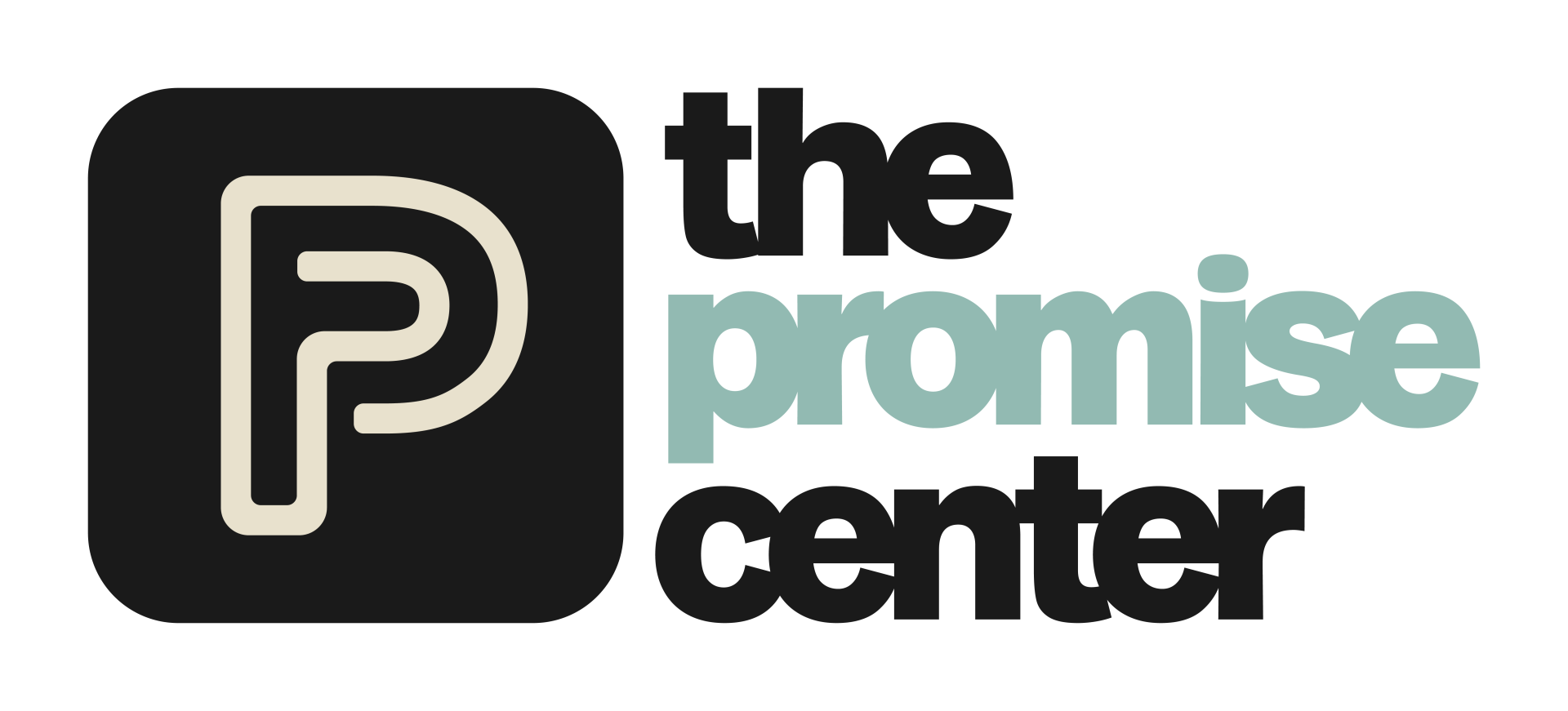 The Promise Center